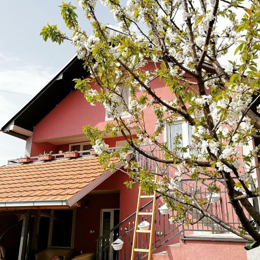Apartments "Predah Kod Baraca" Ni Exteriér fotografie